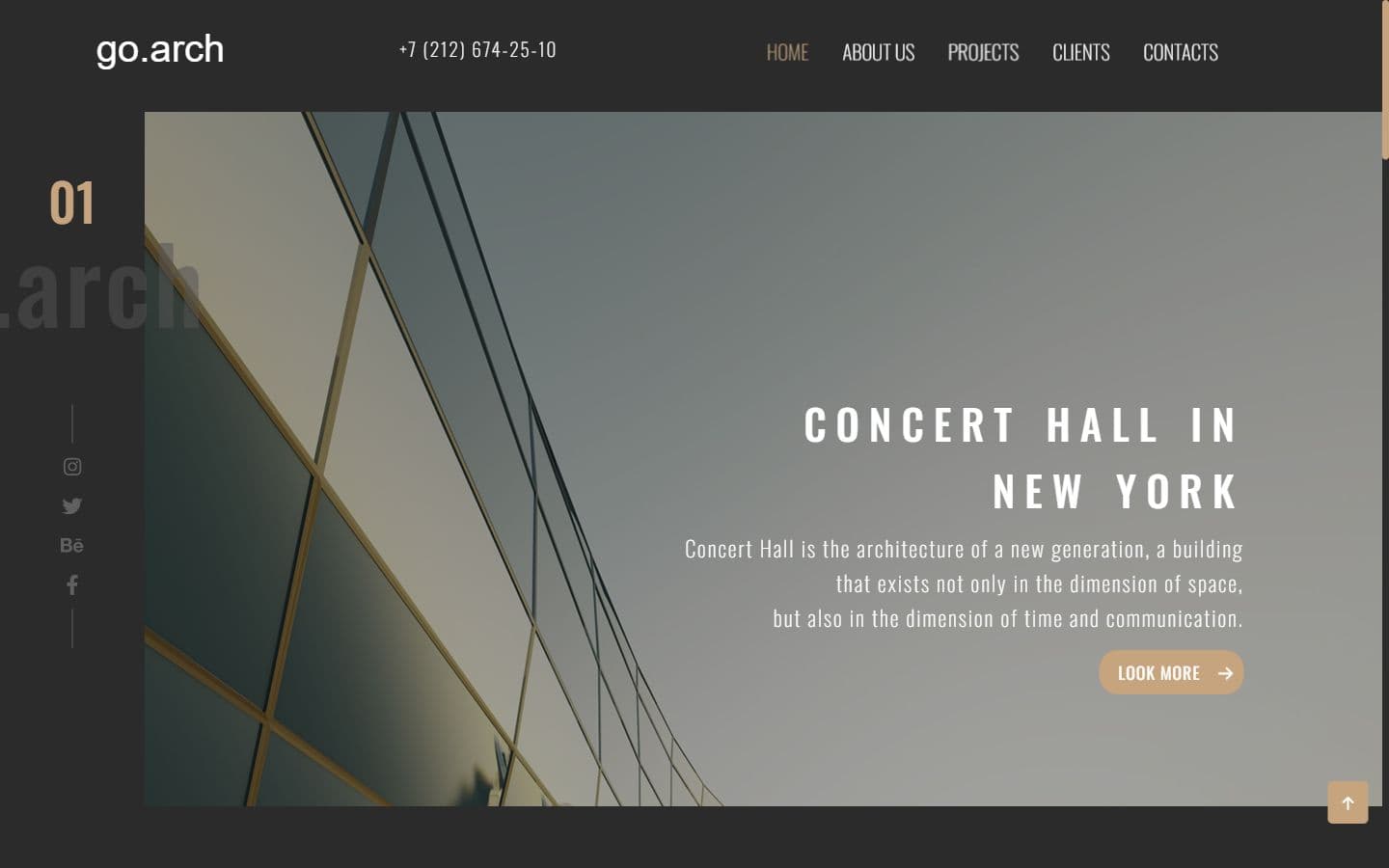 Go.Arch screenshot